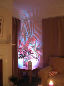 Images Shadow1